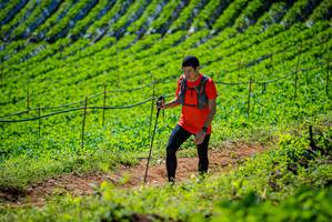 BIB: 
                            <button type="button" onclick="openModal(19163144)" class="btn btn-primary btn-sm float-right btn-popup" data-toggle="modal" data-target=".modal-high-quality">
                        <i class="fas fa-shopping-cart"></i> Add to Cart
                    </button>
                                            <button type="button" onclick="isThisMe(19163144, true)" class="btn btn-success btn-sm float-right btn-popup btn-isme hidden" data-toggle="tooltip" data-placement="bottom" title="นี่คือรูปของคุณใช่ไหม คลิกที่นี่เพื่อเอาเข้าอัลบั้ม">
                        <i class="fas fa-plus"></i> Add to album
                    </button>
                    <button type="button" onclick="isThisMe(19163144, false)" class="btn btn-warning btn-sm float-right btn-popup btn-isnotme hidden">
                        <i class="fas fa-ban"></i> Remove from album
                    </button>